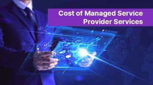 Cost of Managed Service Provider Services 68